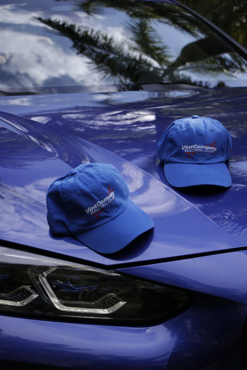 Vint Royal Cap
